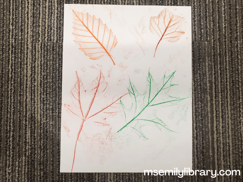 leaf rubbings on a white sheet of paper, showing an orange beech leaf, a brown tulip tree leaf, a red maple leaf, and a green oak leaf.
