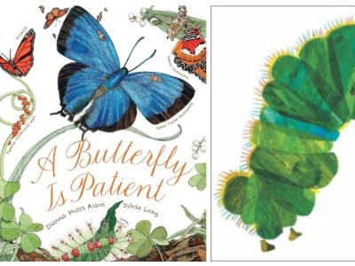 Storytime: Butterflies
