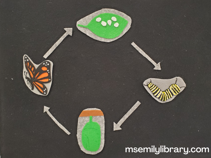 flannel showing a monarch butterfly, a leaf with eggs, a monarch caterpillar, and a green chrysalis. gray arrows show the circular flow.