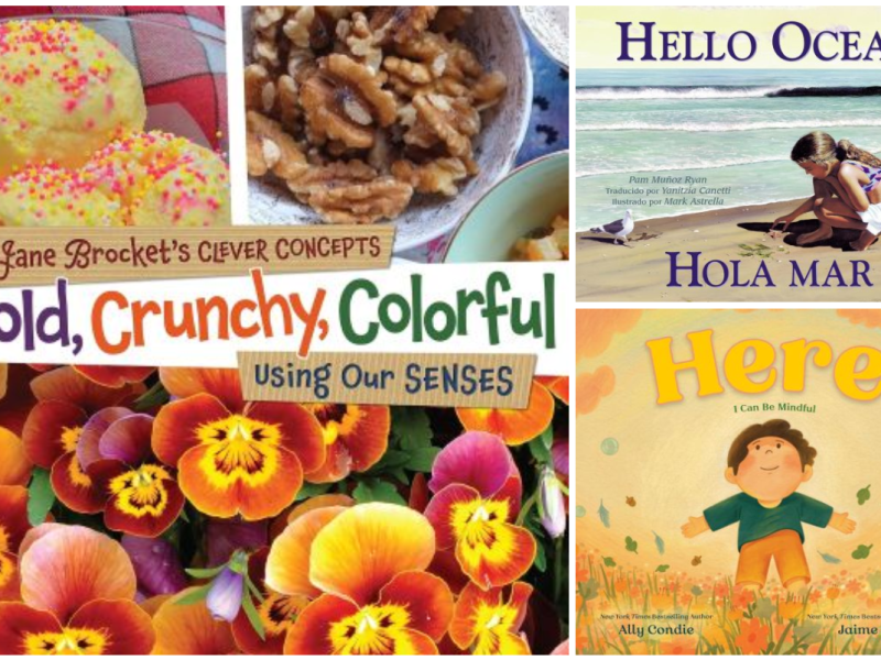 Stories & Stations: Five&nbsp;Senses