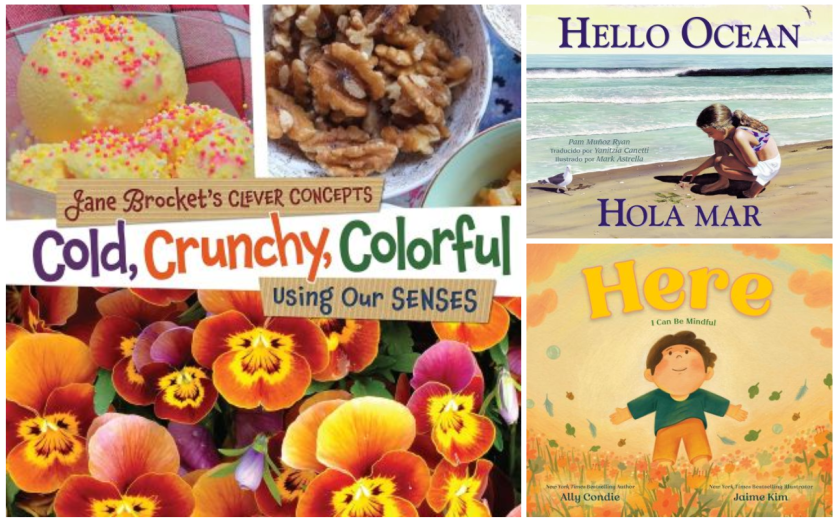 cold crunchy colorful, hello ocean/hola mar, and here book covers