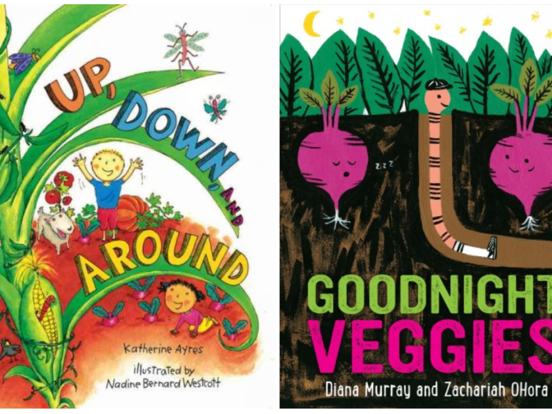 Stories & Stations:&nbsp;Garden