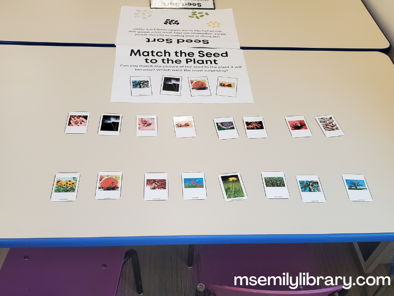 Garden seed match card station, showing cards with either a plant or its seed for matching.