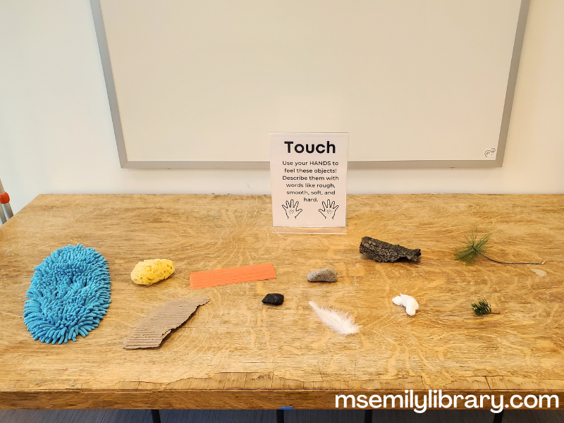 touch station showing a sign explaining, with various textured objects - a fuzzy mop head, natural sponge, ridged cardboard, smooth rock, feather, rough rock, tree bark, pine branch with needles, and cotton balls.