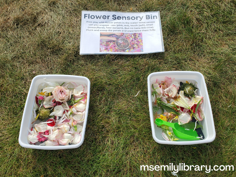 water bins with various flower cuttings, petals, leaves, and flower heads, plus scoops and spoons